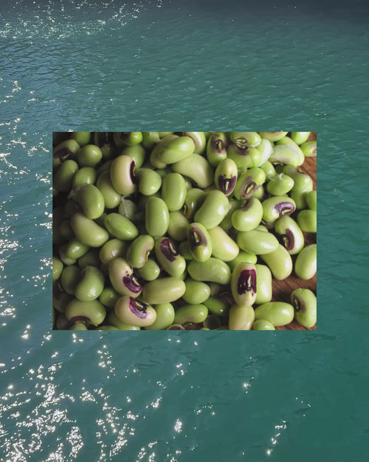 Ọjà: Words in Circulation - Balgowlah